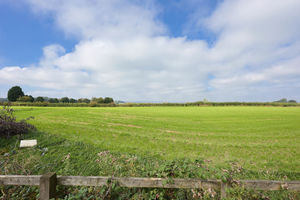 Photo 27- click for photo gallery